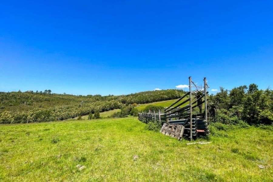 Commercial Property for Sale in Friemersheim Western Cape